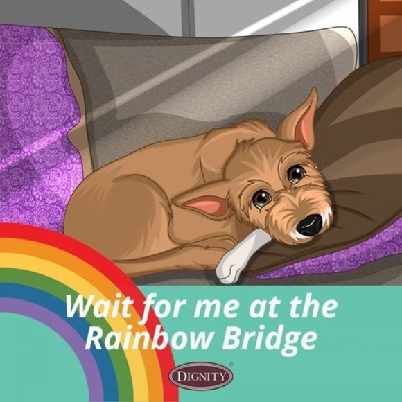 Meet your Posher, Kristine - Picture 1 of 1